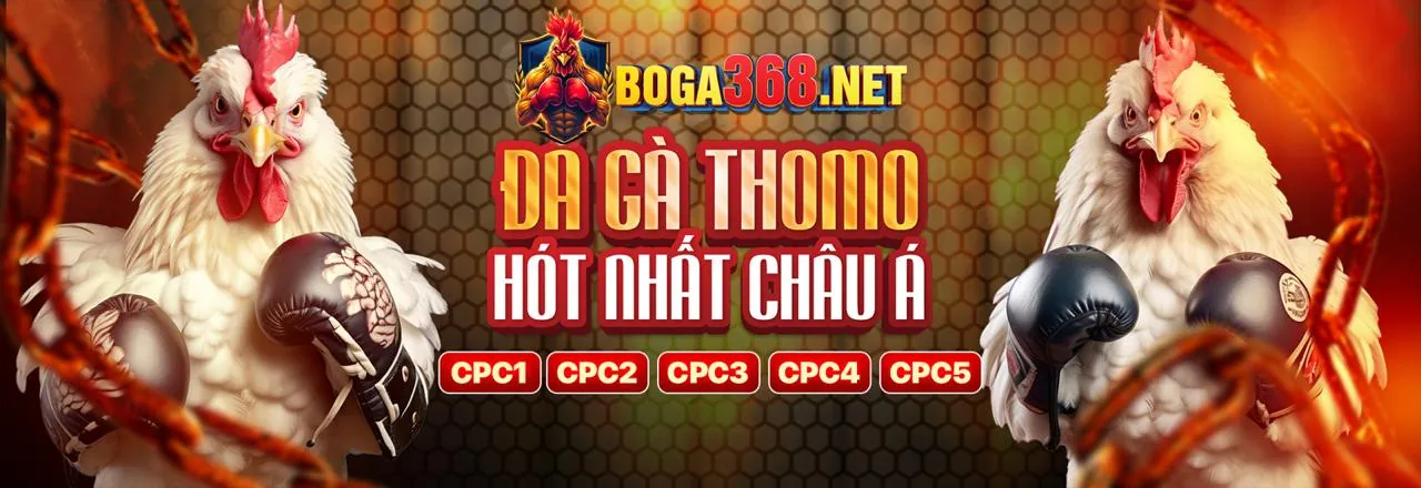 Đá Gà Win555 2026